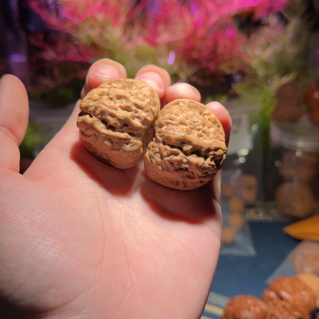 958号39蛤蟆头蛤蟆头蛤蟆头