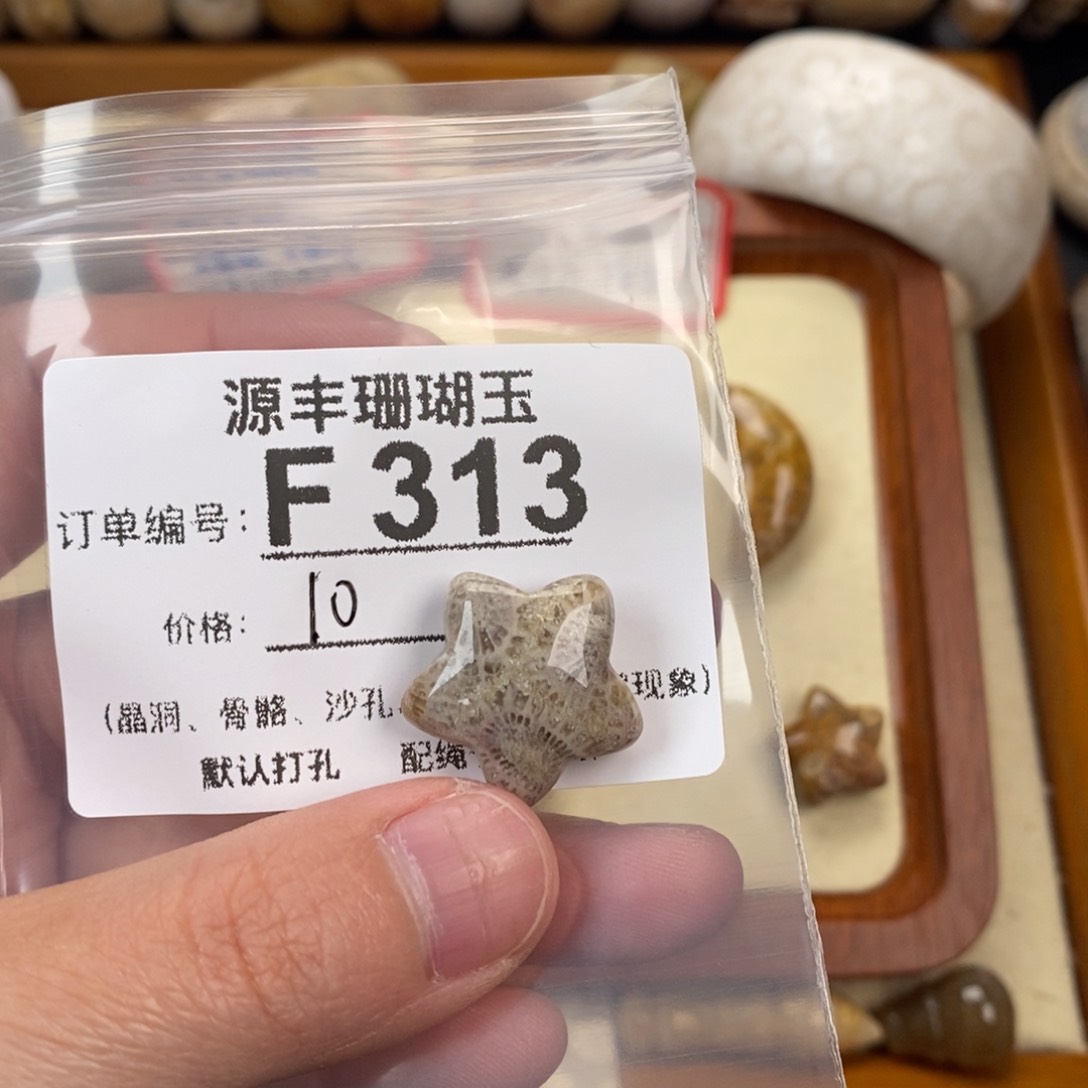 硅化玉颈饰未镶嵌只**子