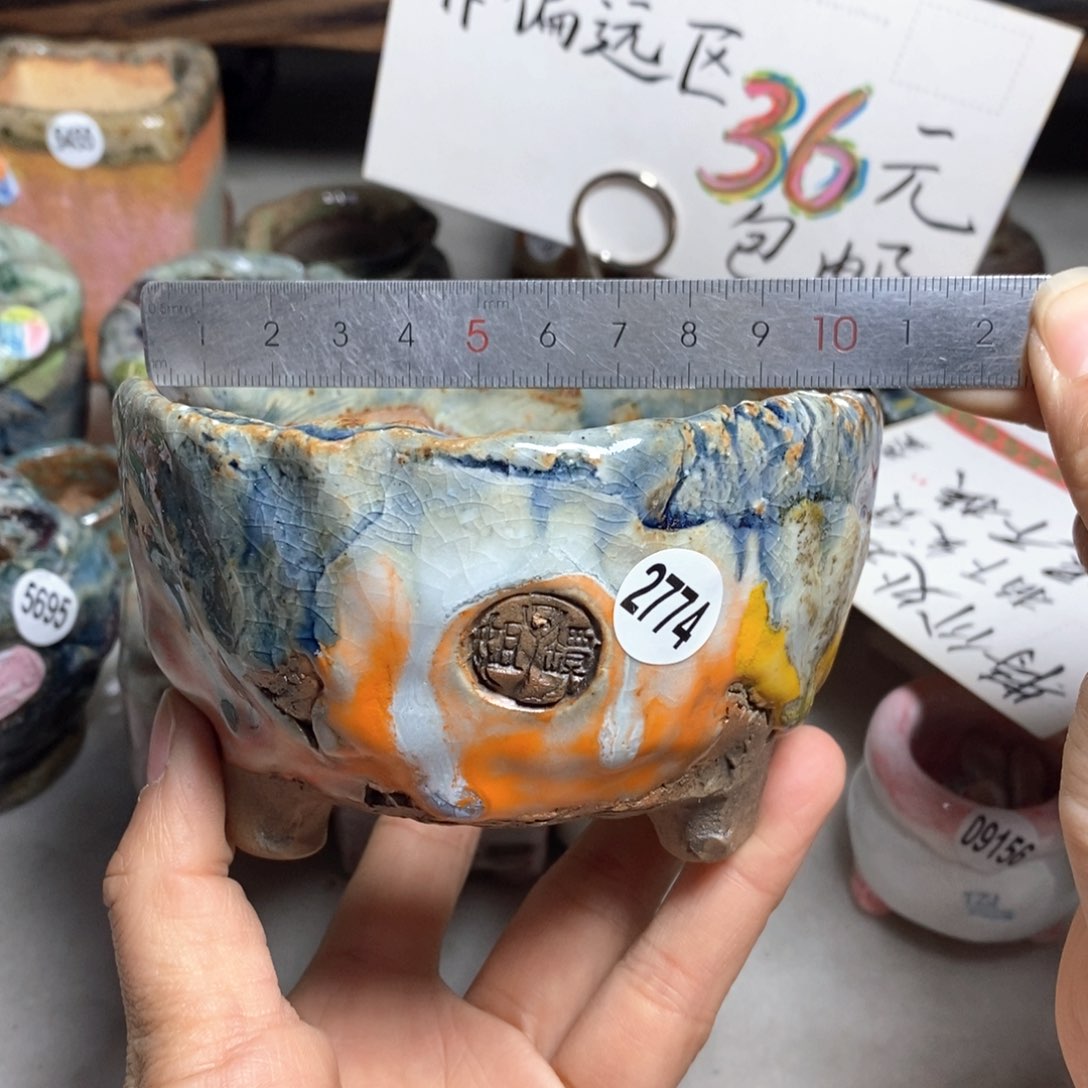 花盆双十二活动不退不换的原38元一个