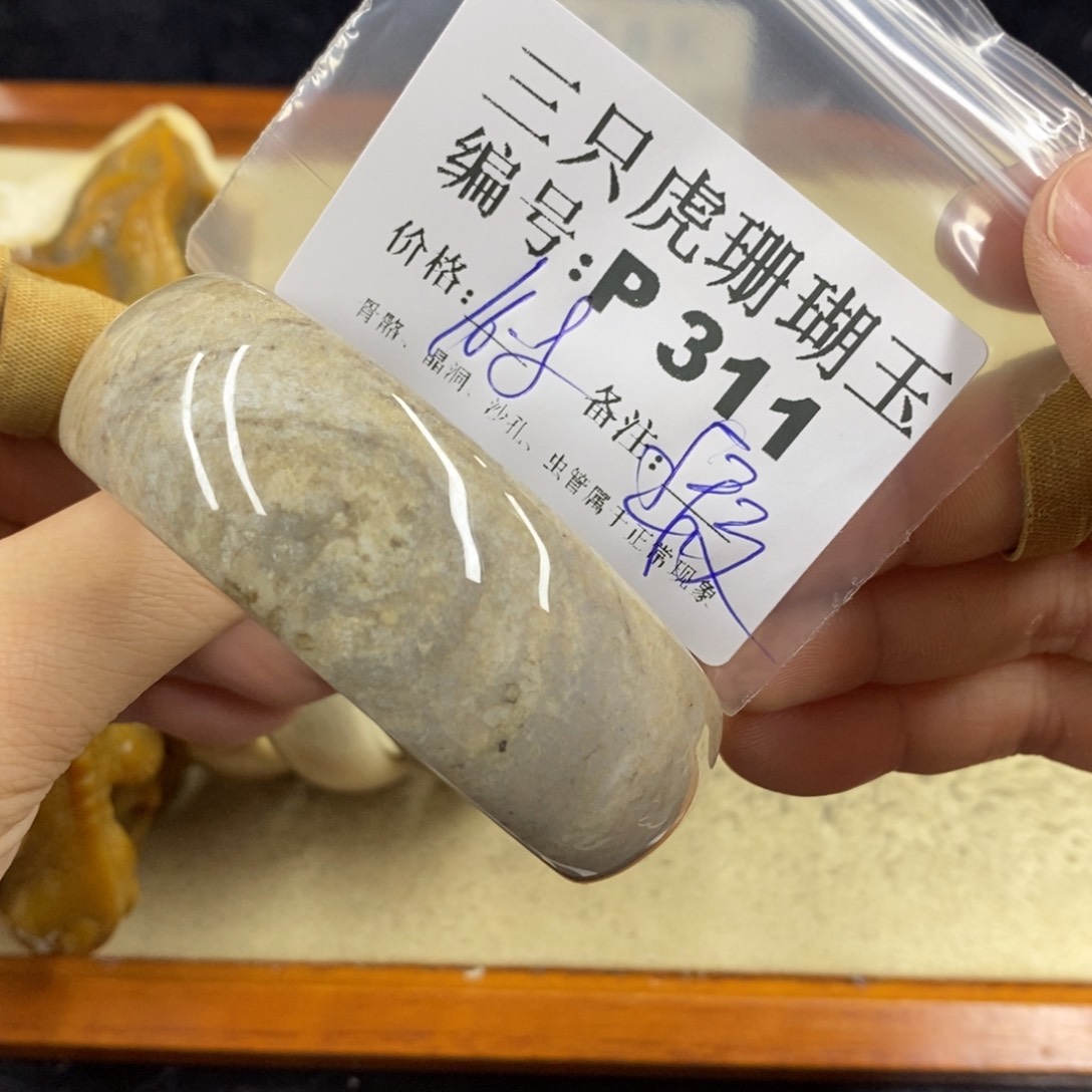 硅化珊瑚（珊瑚玉）1未镶嵌j**e