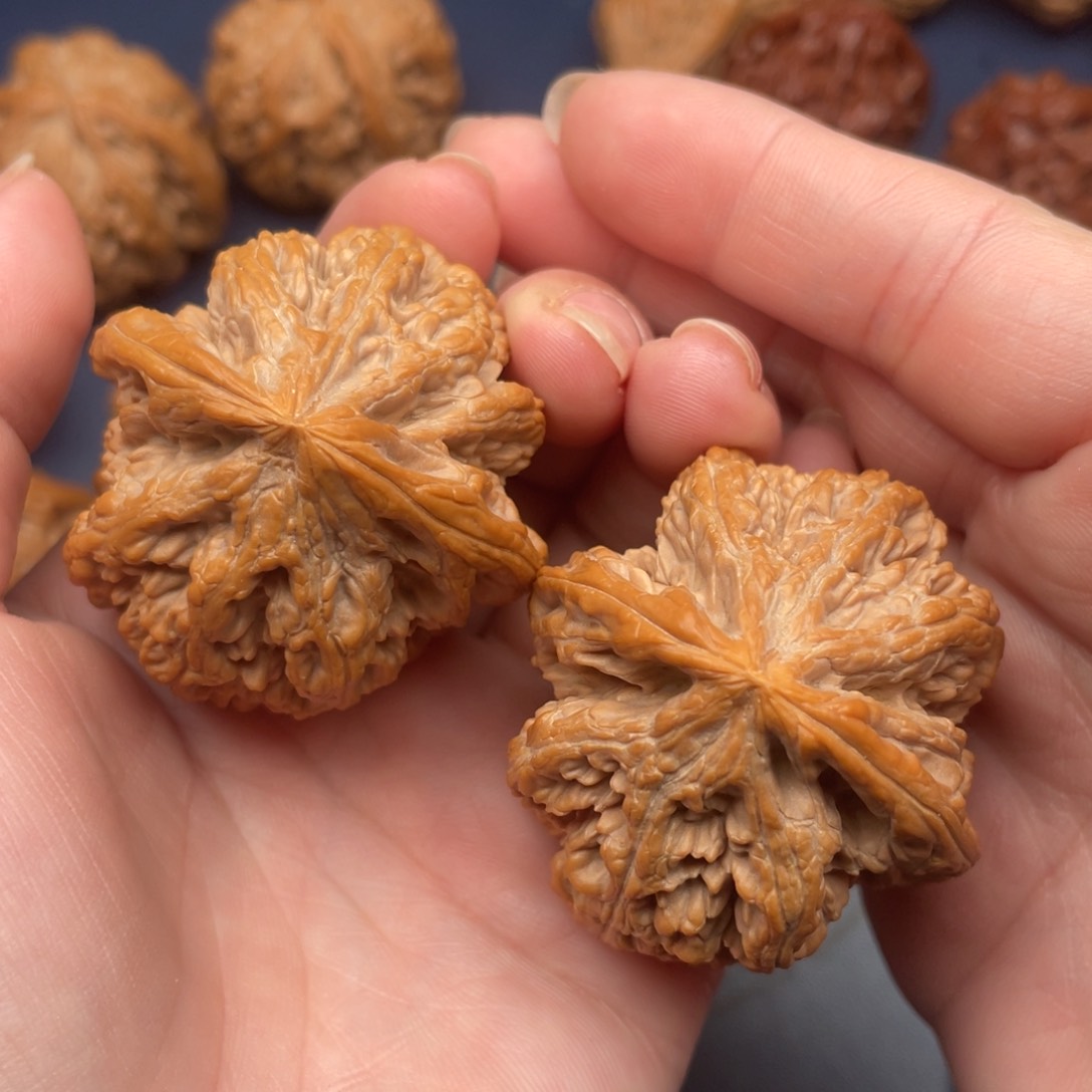 文玩核桃把件原庄粗筋42