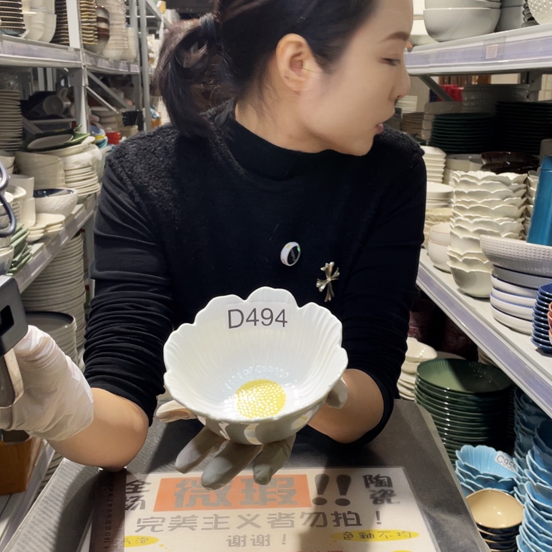 瓷片494                 6个