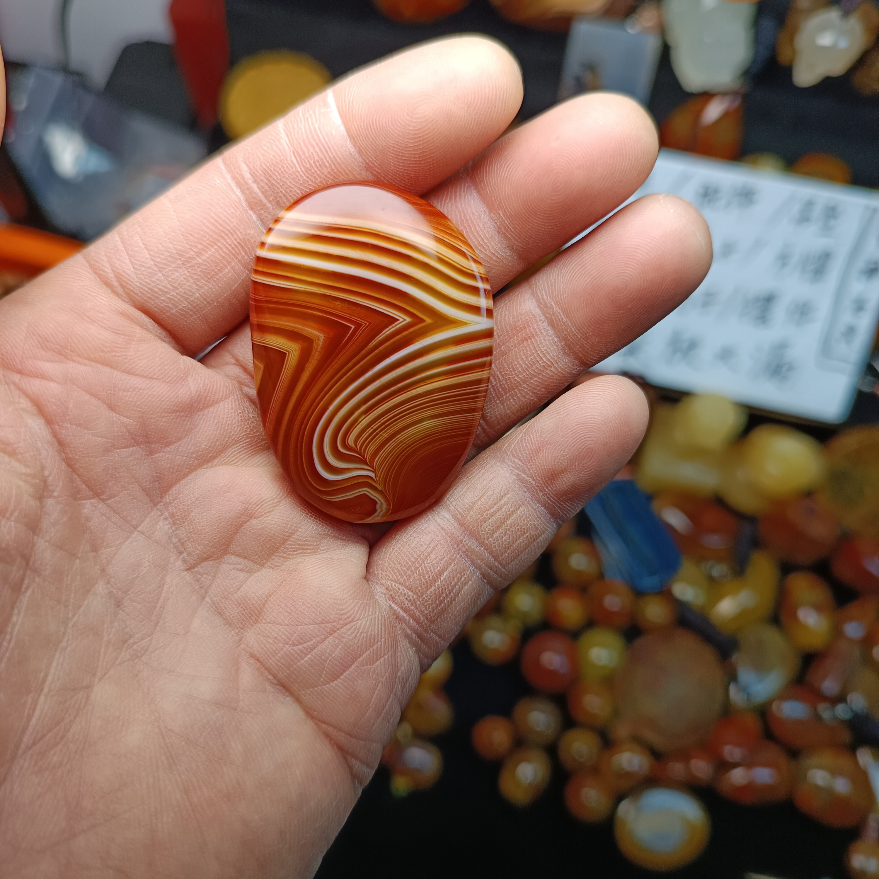 奇石奇石奇石奇石