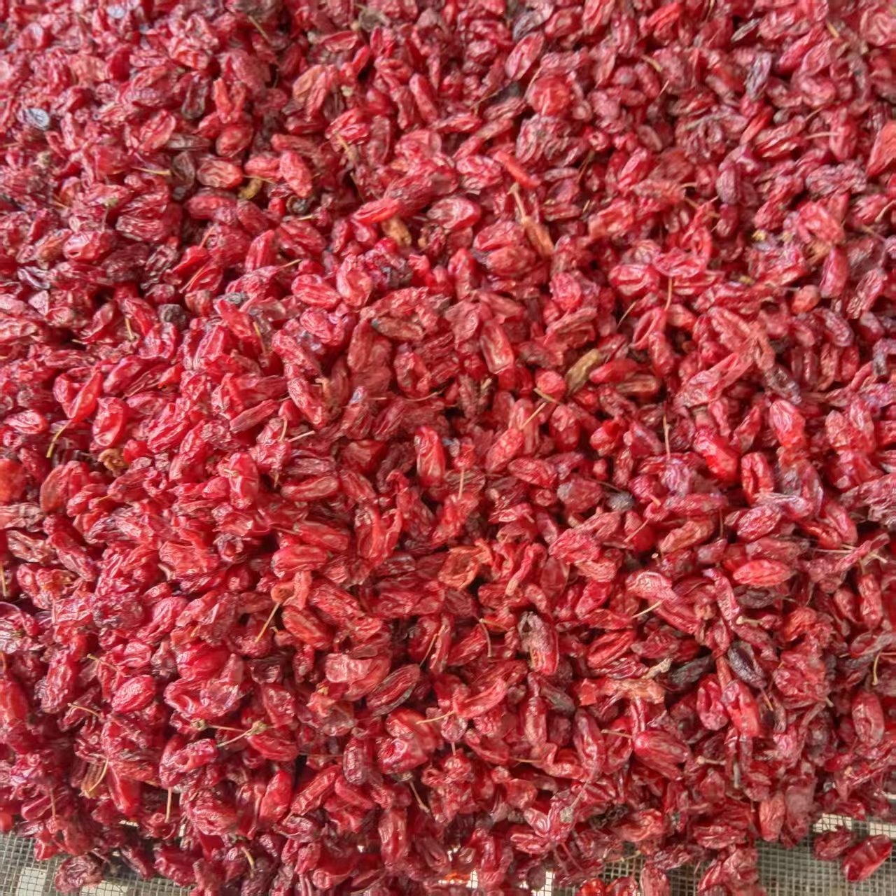 精选山茱萸肉山萸肉枣皮无核山茱萸泡水新货无硫
