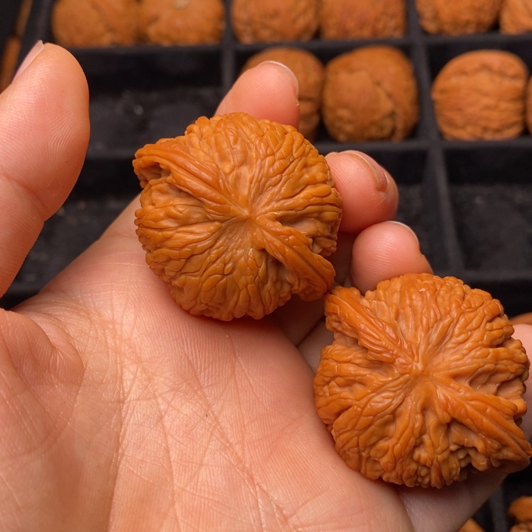 文玩核桃把件秦岭野生核桃