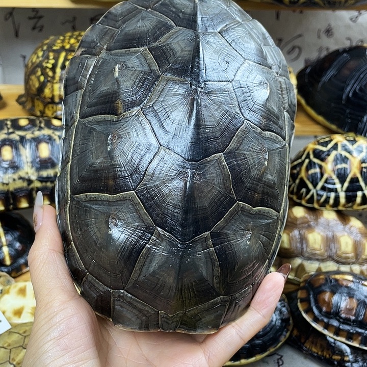 潜***用端景台紫檀木类如法国德国和经济结构改革