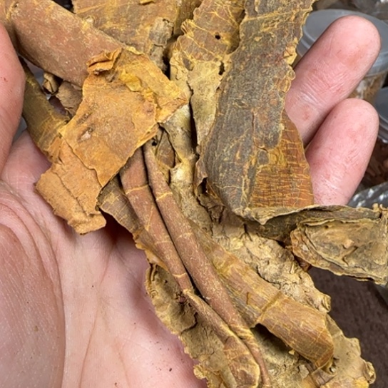 藤类海南黄药膜降真香阿军跨年专属20克