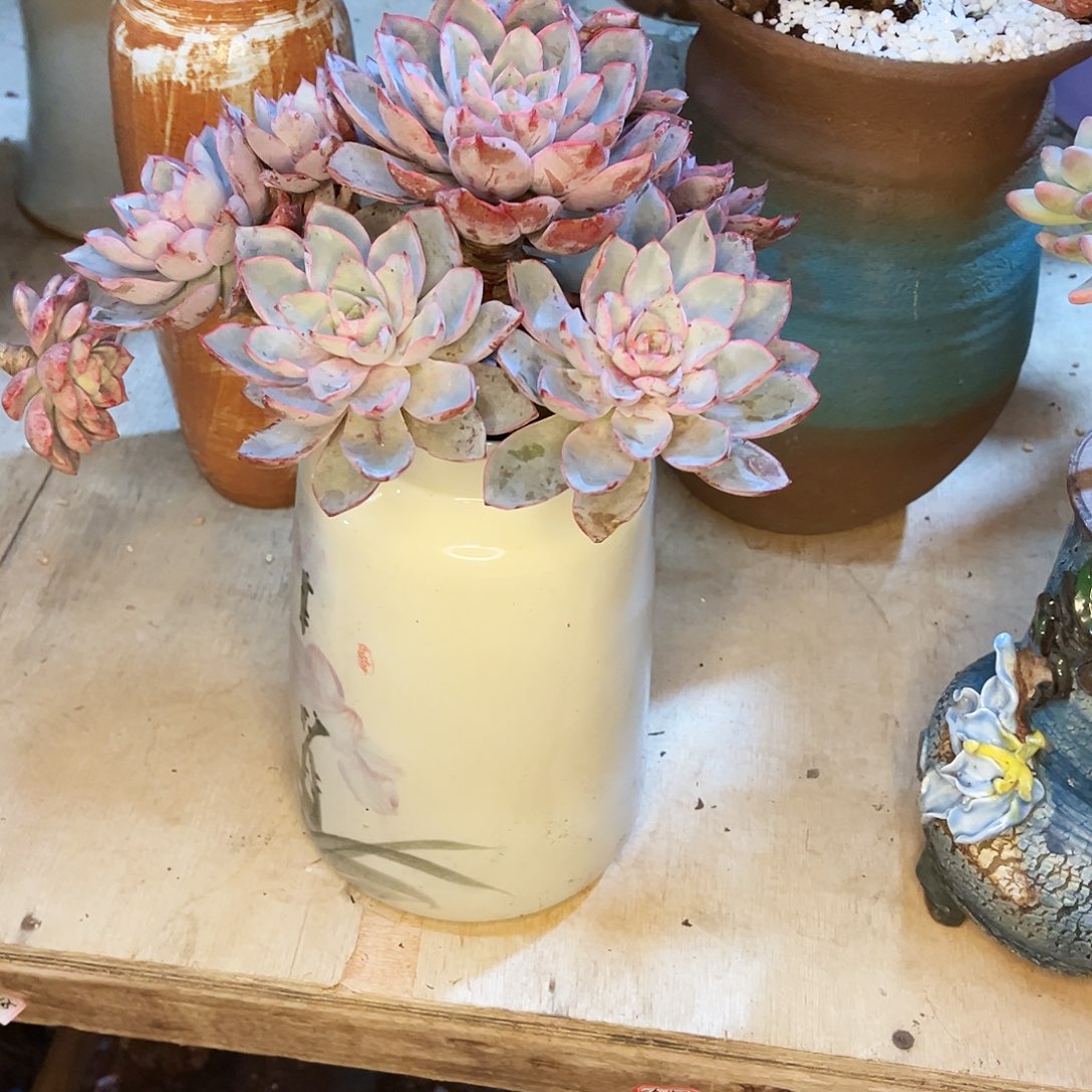 你是否有．．我所知到