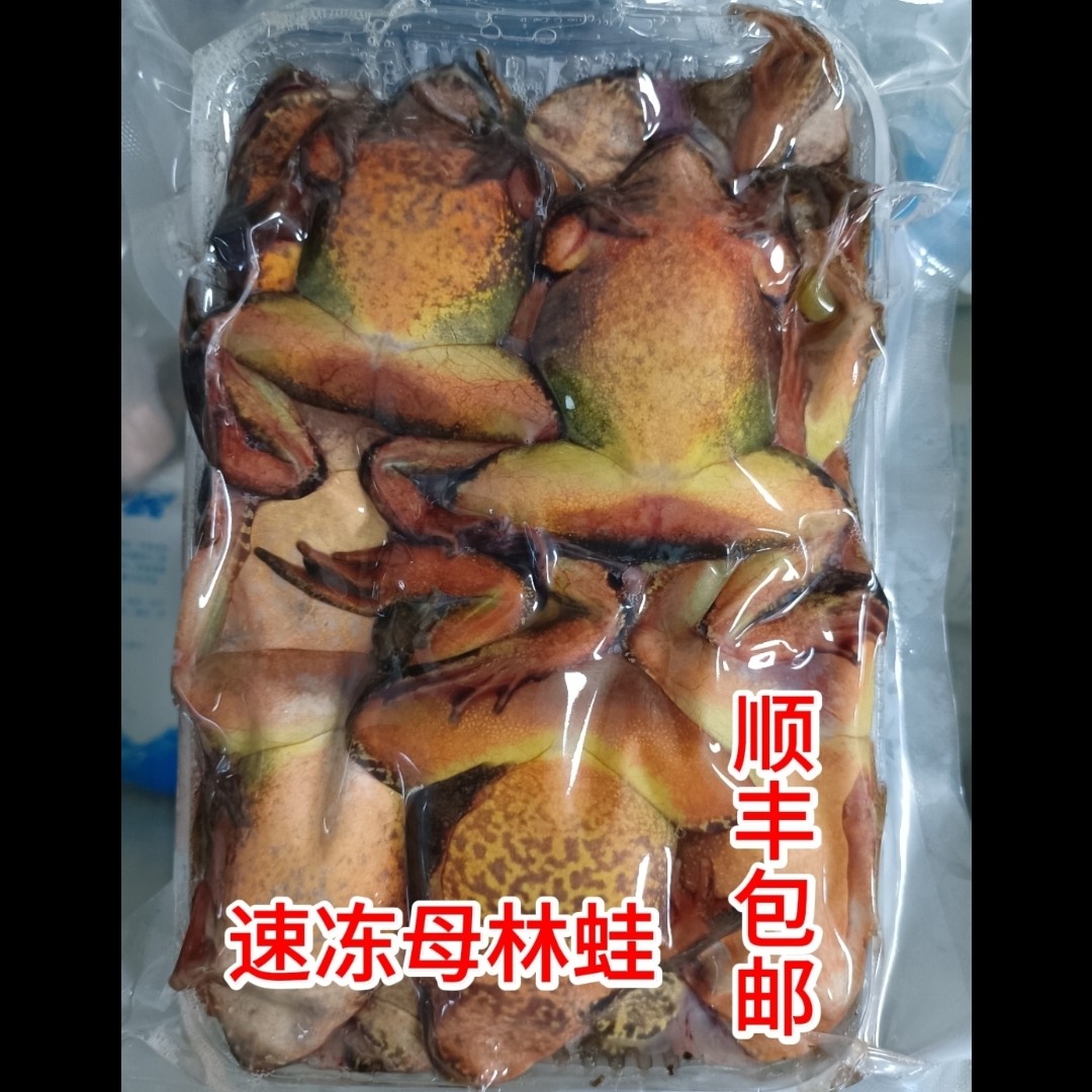东北林蛙新鲜大母豹子长白山速冻新开河混籽黄肚直发蛤蟆满籽满油