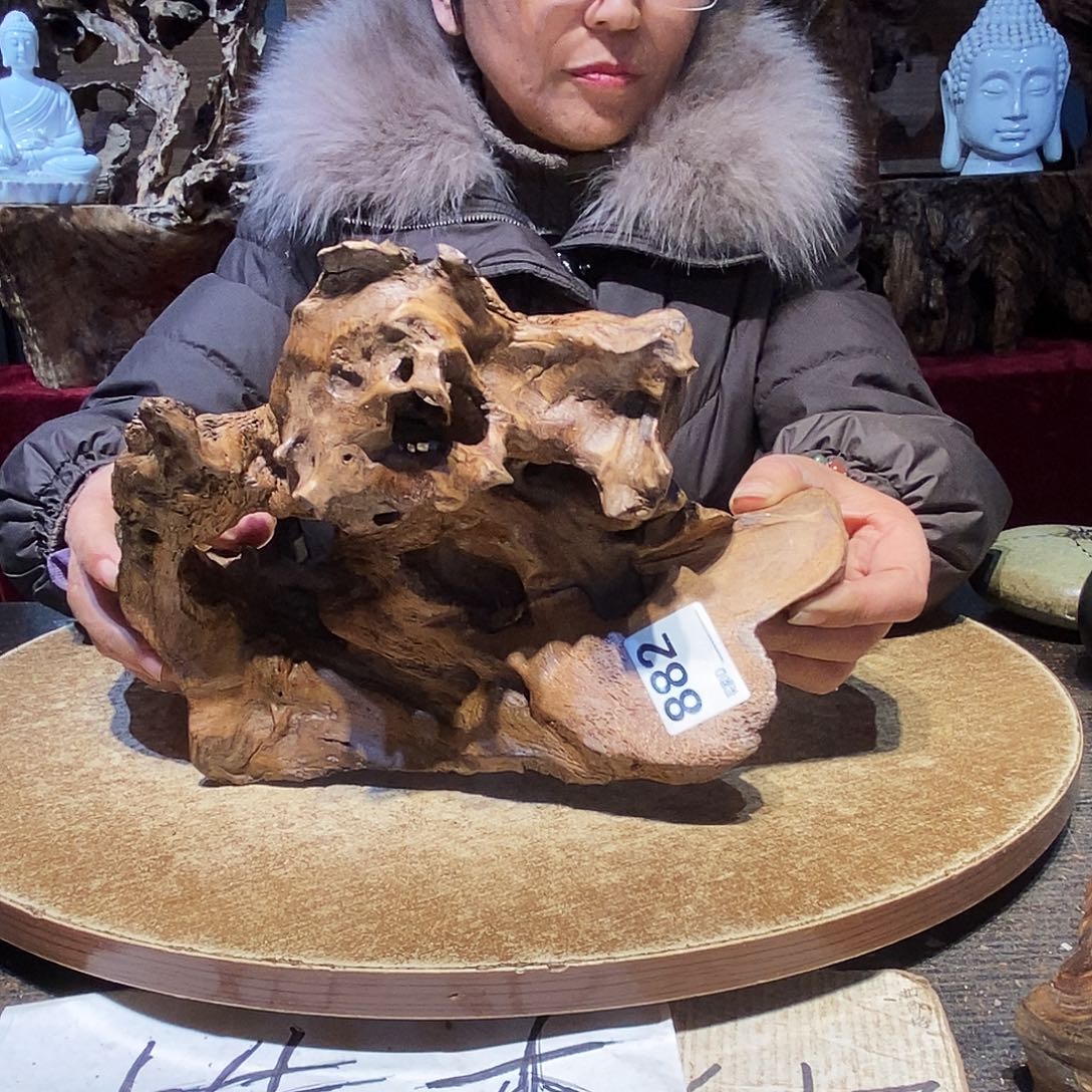 马***啊882。株木随行根艺