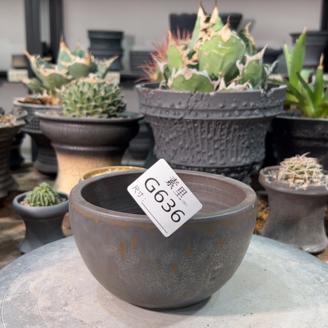 景德镇手工素里内口12高8