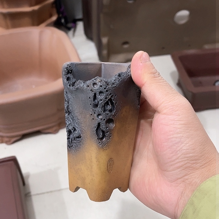 紫砂花盆这个世界上最好的