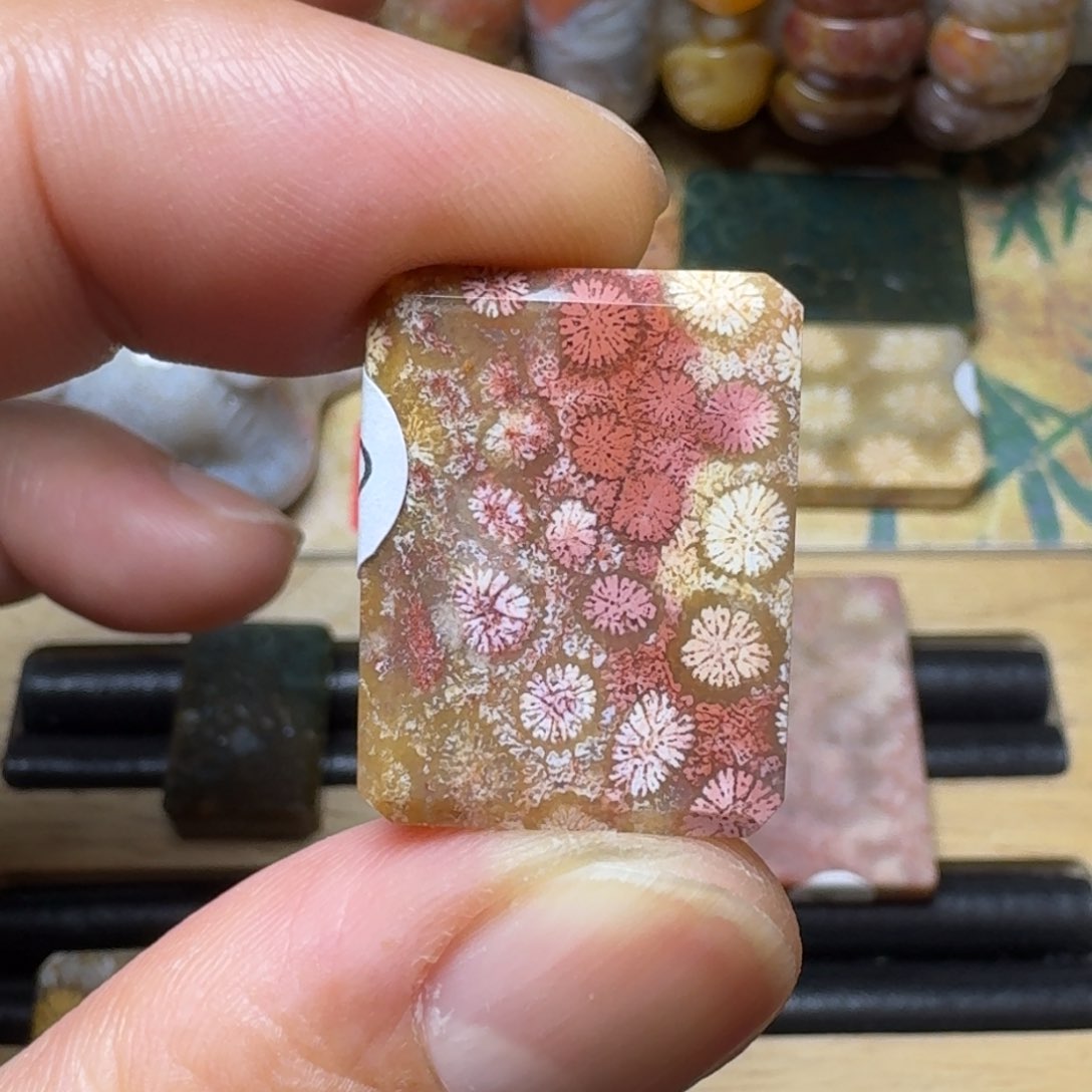 硅化玉天然有机玉石保真色未镶嵌