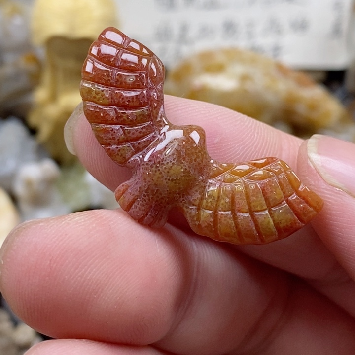 颈饰未镶嵌硅化珊瑚（珊瑚玉）没打孔 小