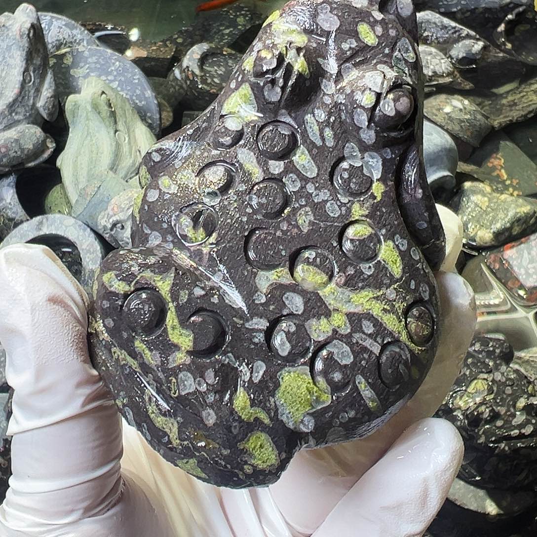 梅花玉鱼缸石茶周边不退不换