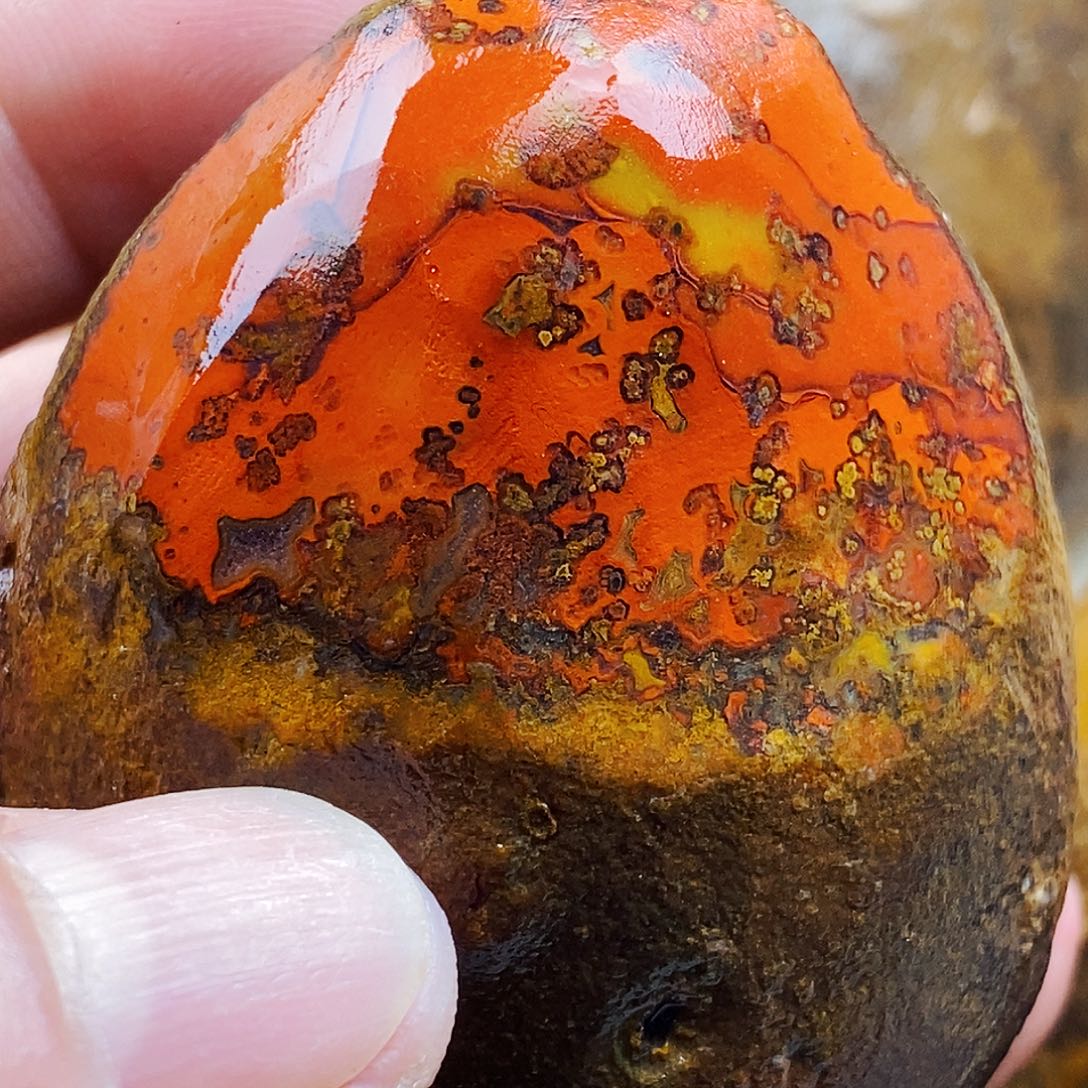 k***士定制玛瑙未镶嵌战国红