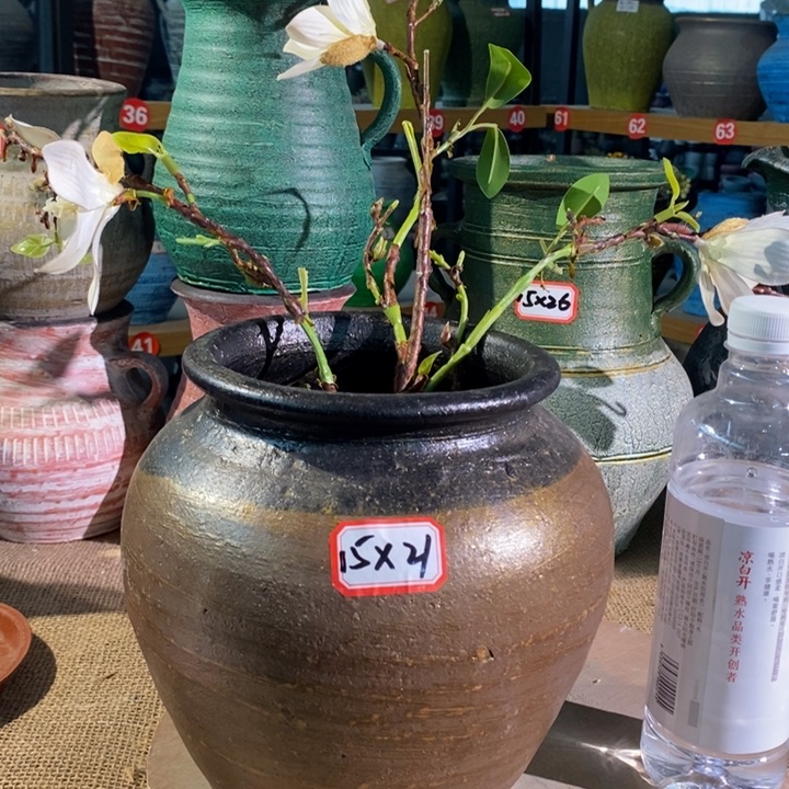 【闪购商品】正品现货