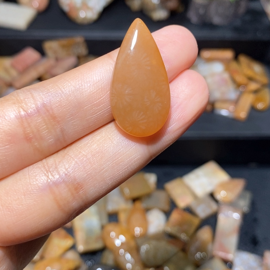 【闪购商品】硅化玉颈饰未镶嵌