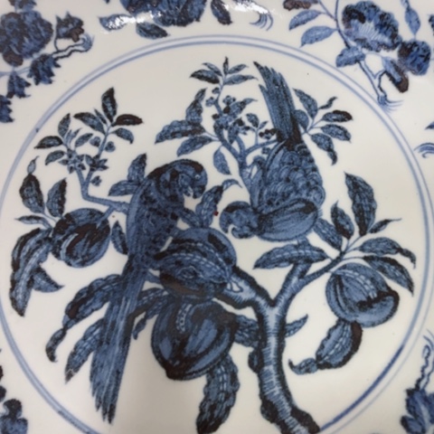 罐阿*我是第几个知道