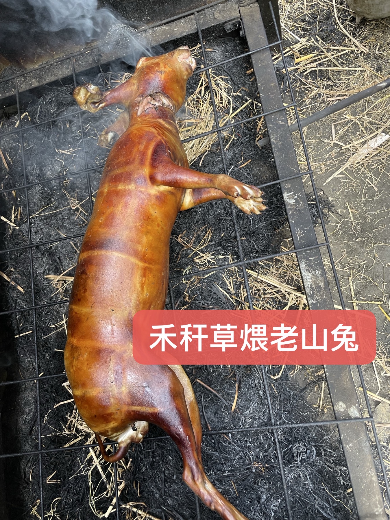清远禾秆草煨四年老山兔 当天煨好当天发  顺丰冷链