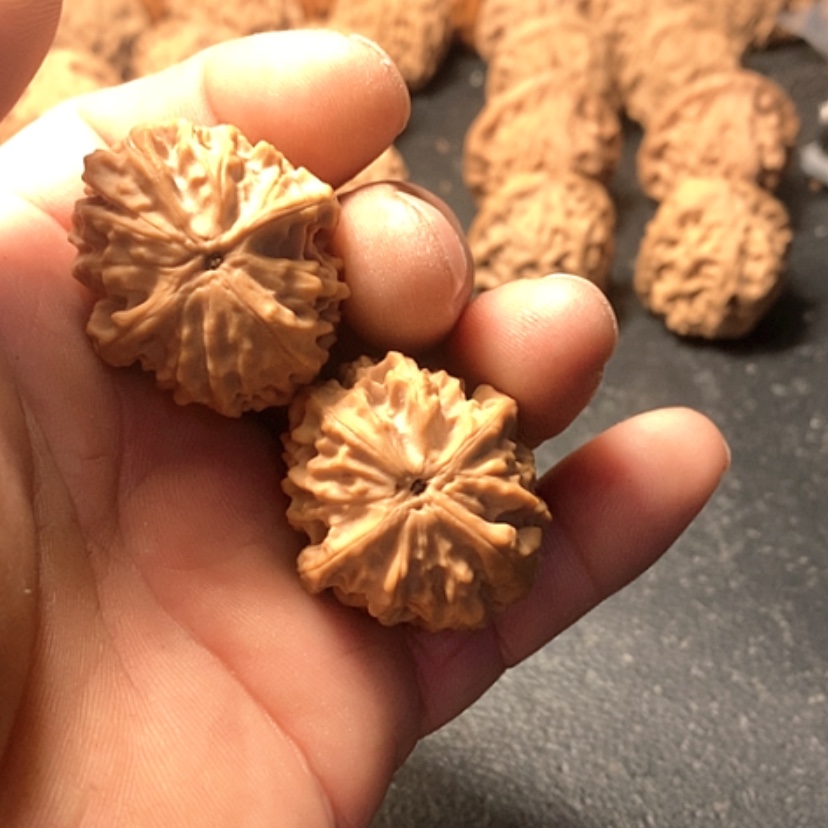 【闪购商品】林*龙眼