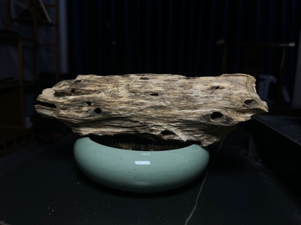 天然虫漏精美摆件