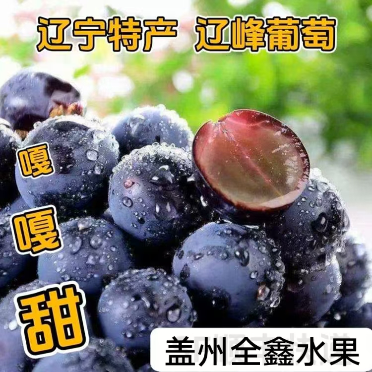【顺丰空运辽峰葡萄】净重4斤（剪粒包装发货）坏果包赔