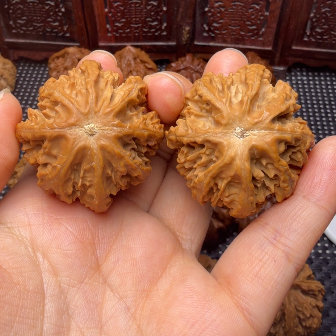 文玩核桃把件龙脊八棱11