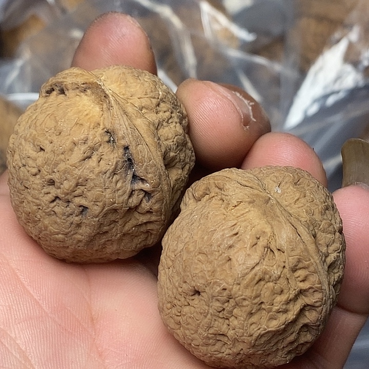 把件文玩核桃志成云铁文玩49