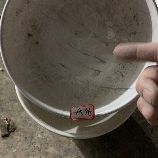 摆件陶瓷材料研究中心