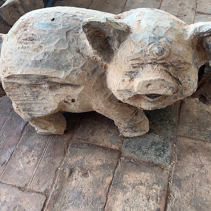 花梨木类88888888888888888