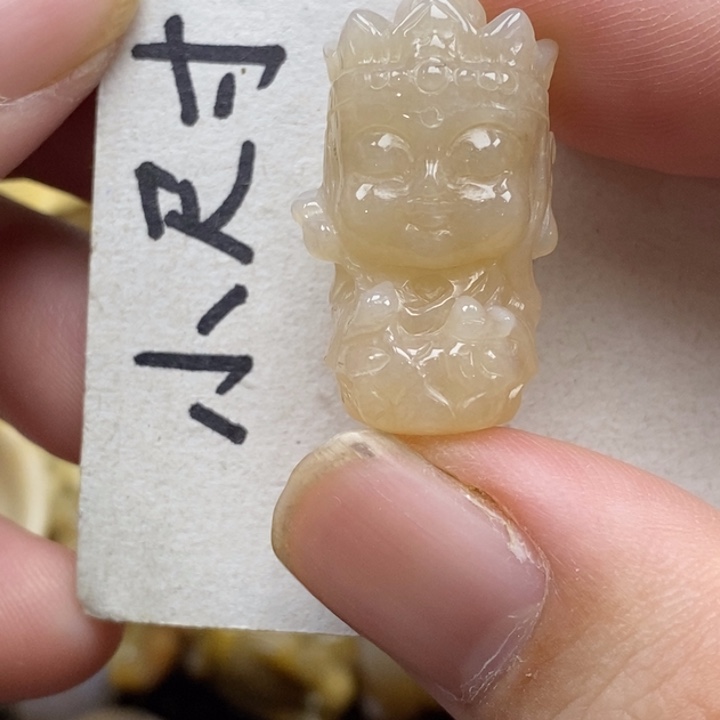 硅化珊瑚（珊瑚玉）未镶嵌颈饰