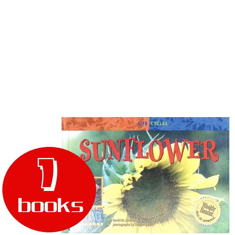 英文原版绘本1本l930303014