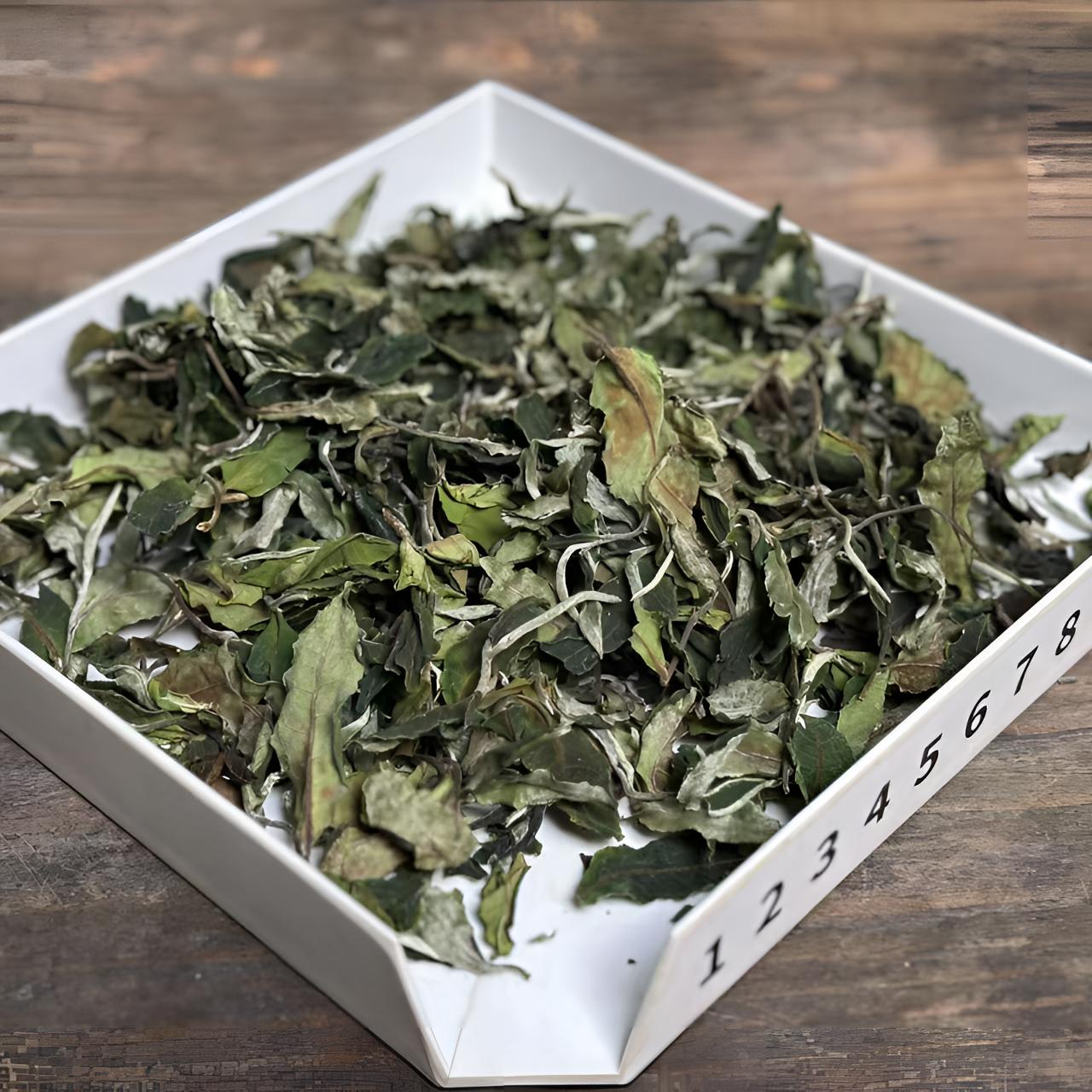 【藤条古树白茶】2025年春/藤条古树白茶/70克/鲜爽清甜/甘甜生津