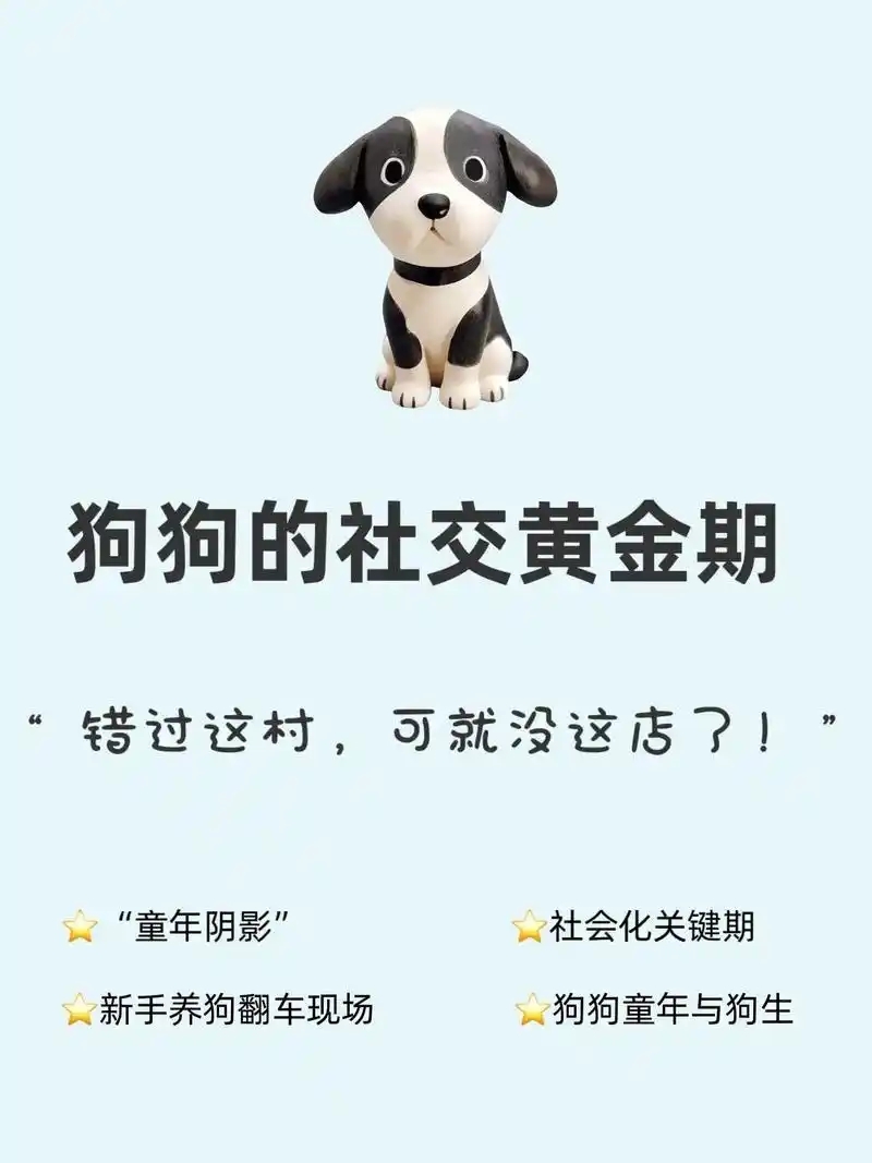 产地带你找好狗（一对一挑选）