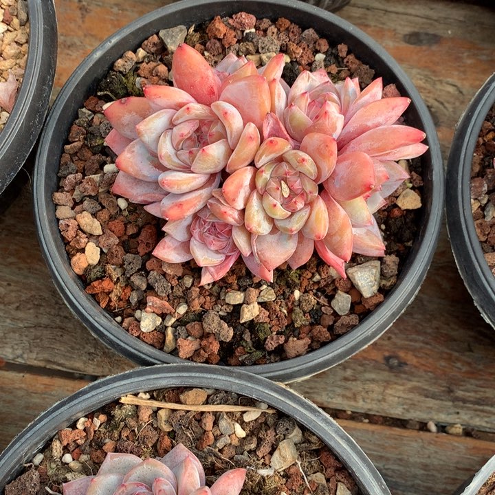 哈哈哈哈哈哈哈哈哈