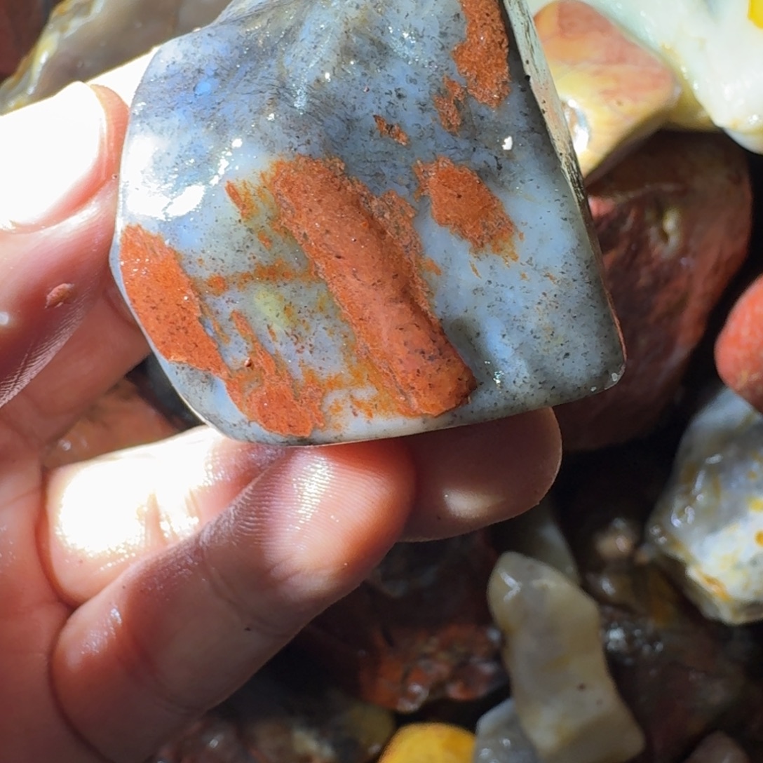 东***学寿山石789988898888