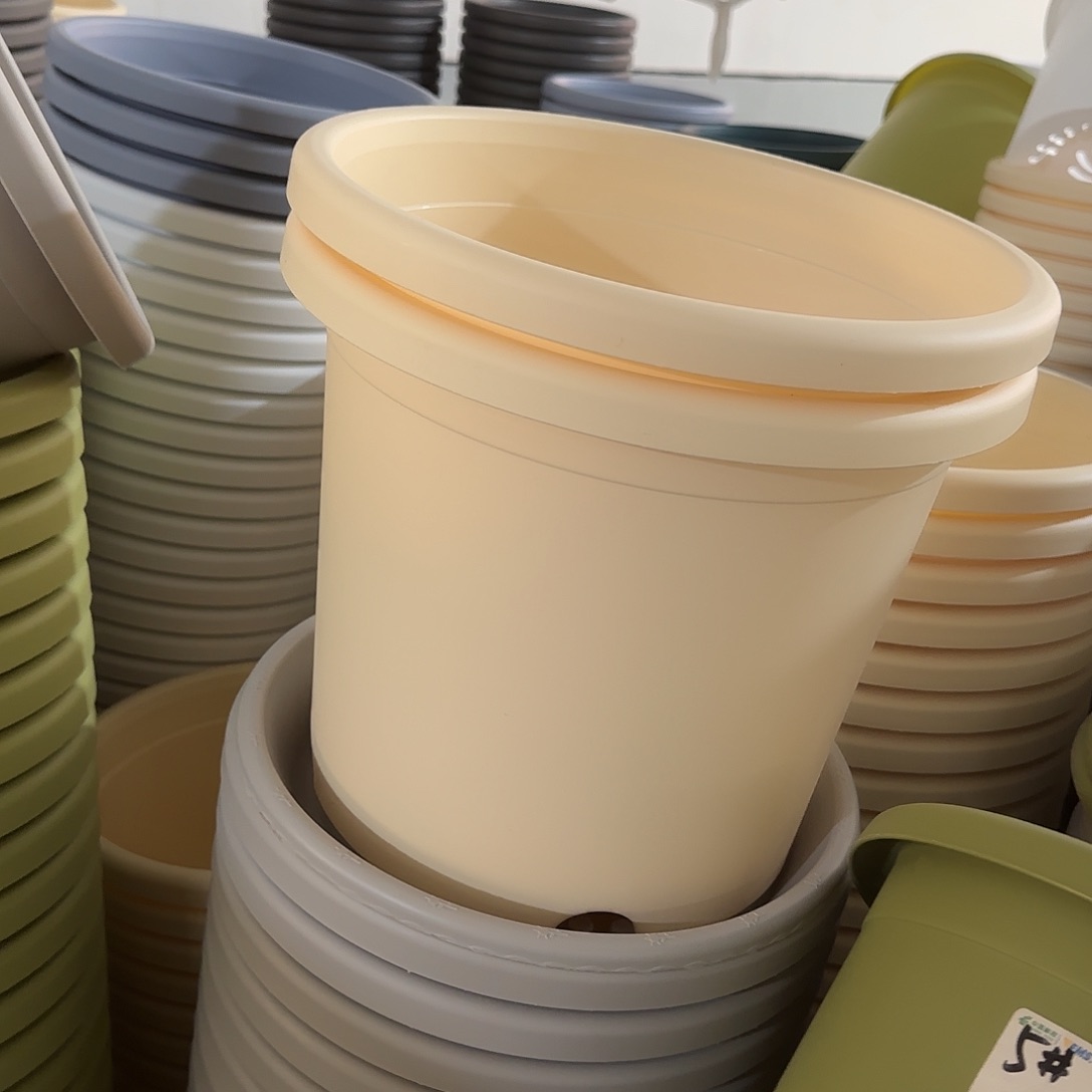 微瑕5号无托6个，米黄