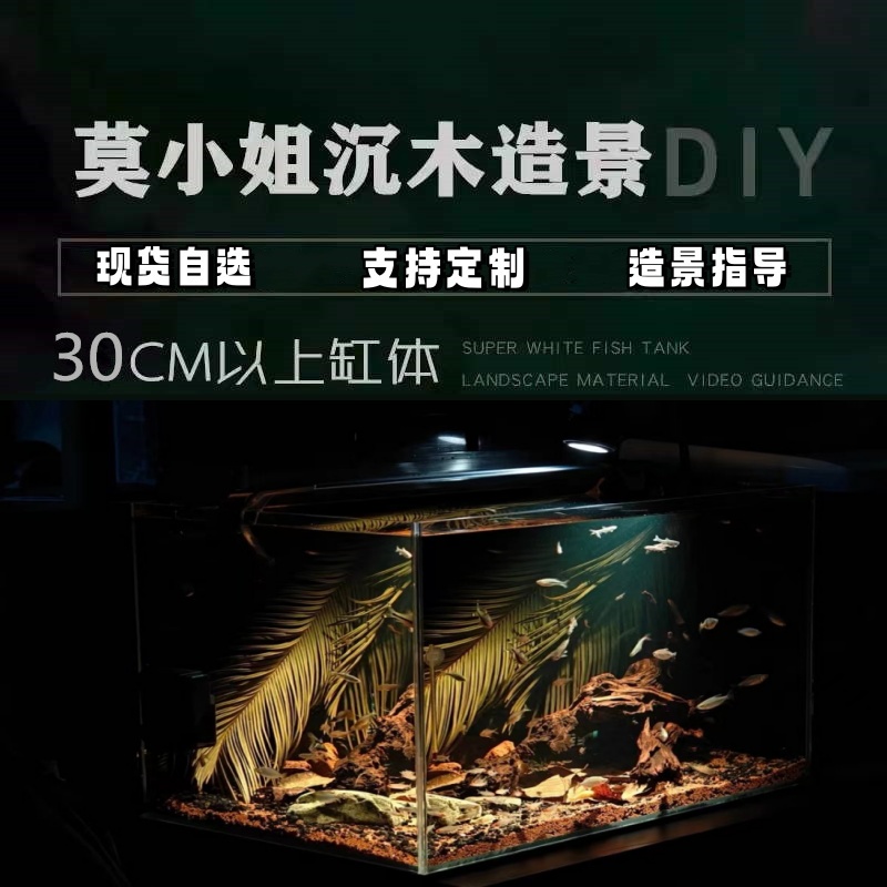 莫小姐沉木造景鱼缸沉木