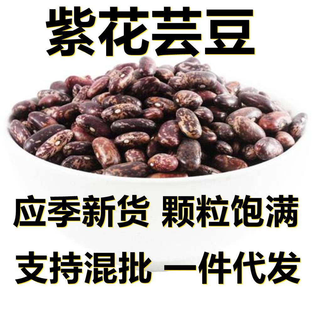 新鲜紫花芸豆克/斤产地直供应季新货颗粒饱满搭配早餐杂粮粥