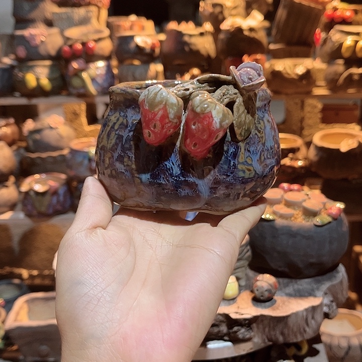 陶哈哈真的是个什么