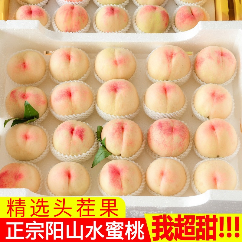 【买6送6到手12只】7-3.5两无锡阳山水蜜桃应季新鲜撕皮爆汁软桃A