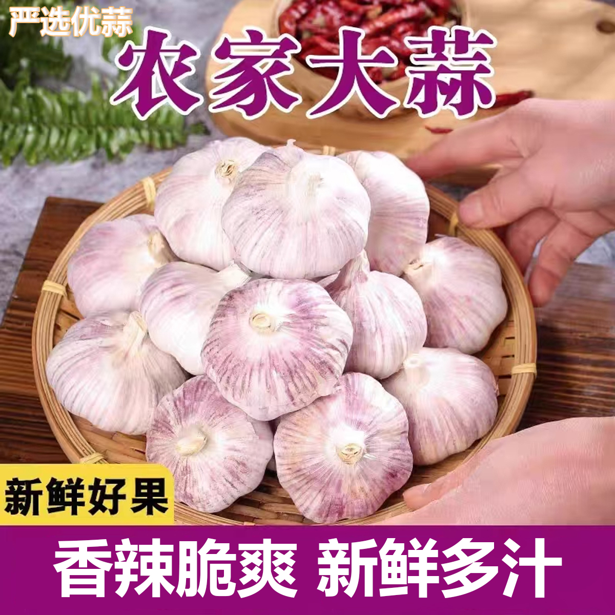 （颗颗精选）2025正宗紫皮大蒜山东批发紫白皮新鲜干蒜辛辣提香