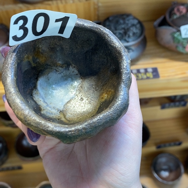 杯柴烧肉等特色菜式