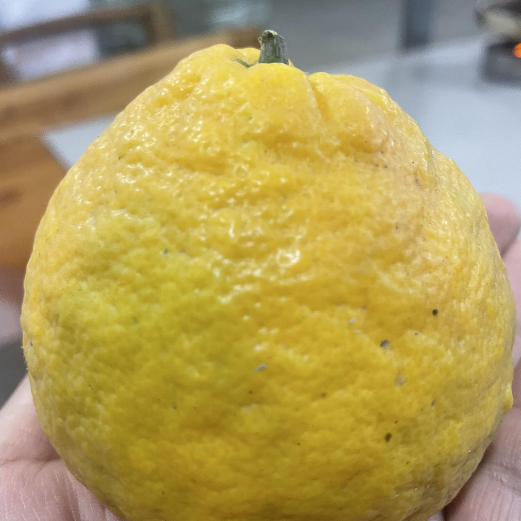 华容本地抛柑顺丰包邮，不酸不要钱