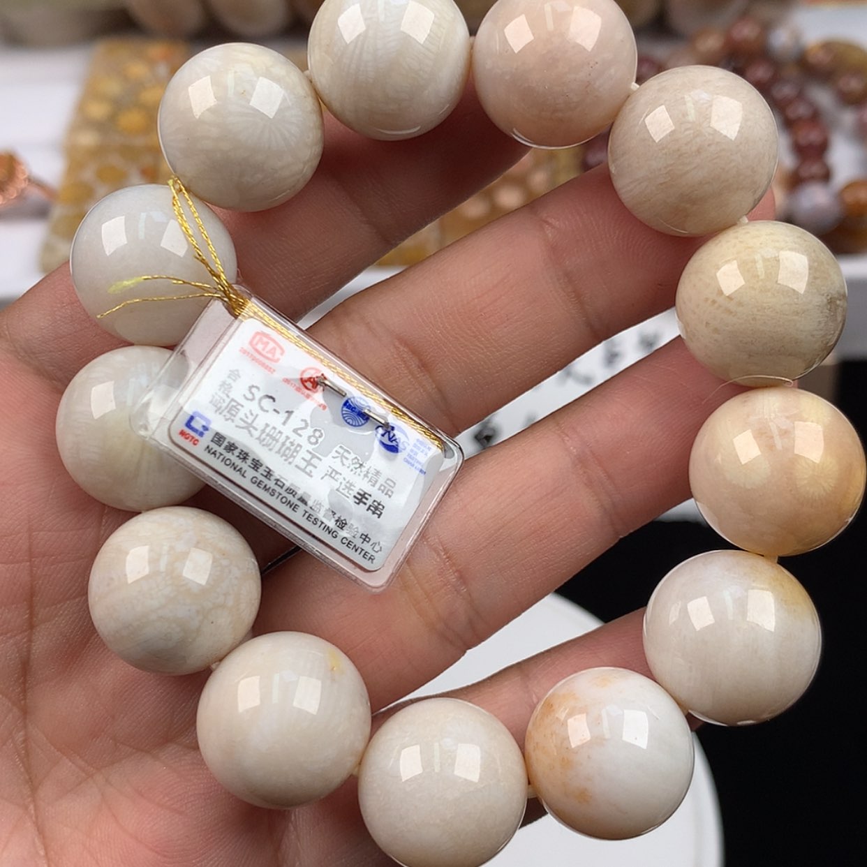 【闪购商品】硅化珊瑚（珊瑚玉）未镶嵌手链