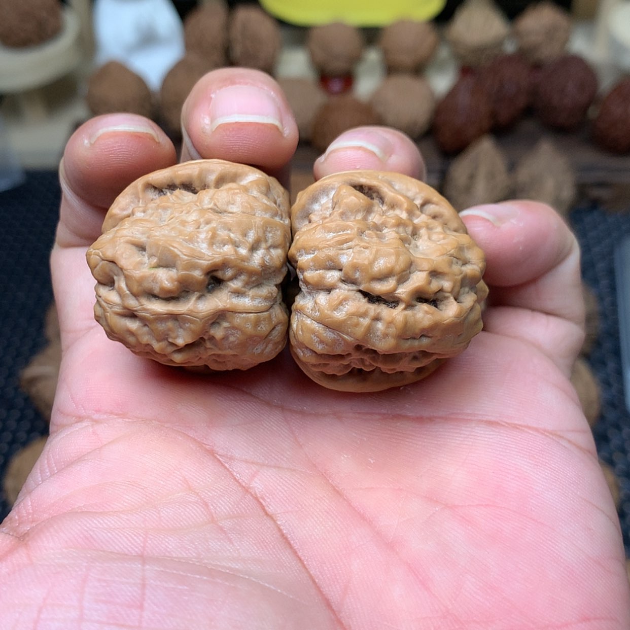 【闪购商品】文玩核桃把件全品蛤蟆头35文玩核桃