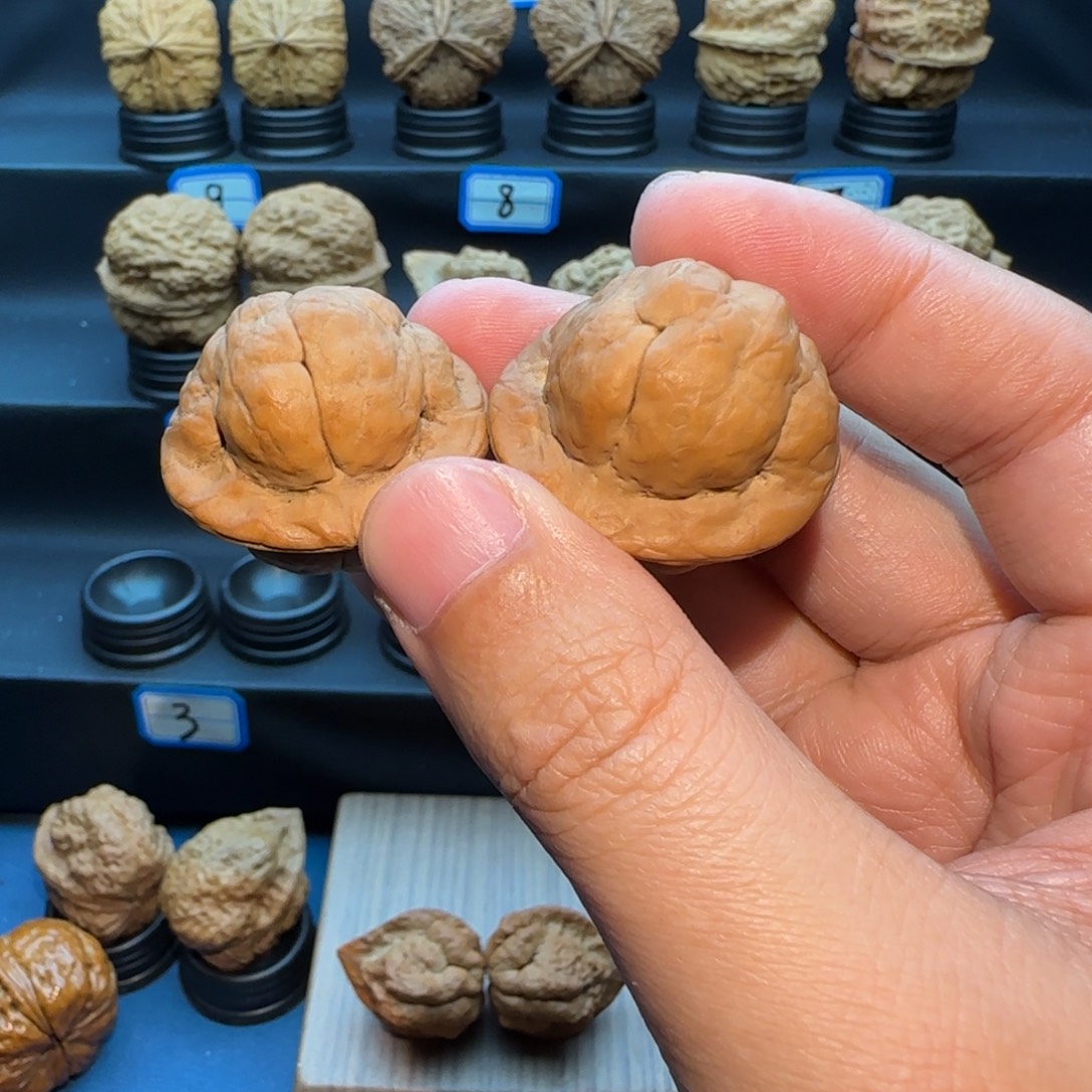 @***s把件桃核金刚鹦蟾