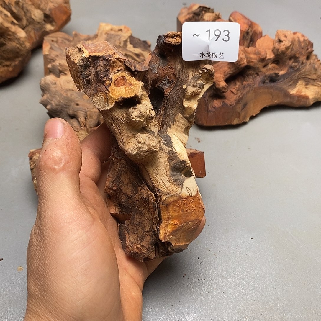 @***）无花朵        193