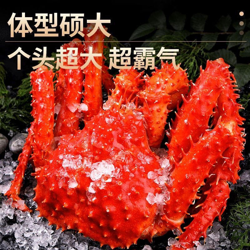 【深海智利帝王蟹】智利熟冻帝王顺丰冷链发货